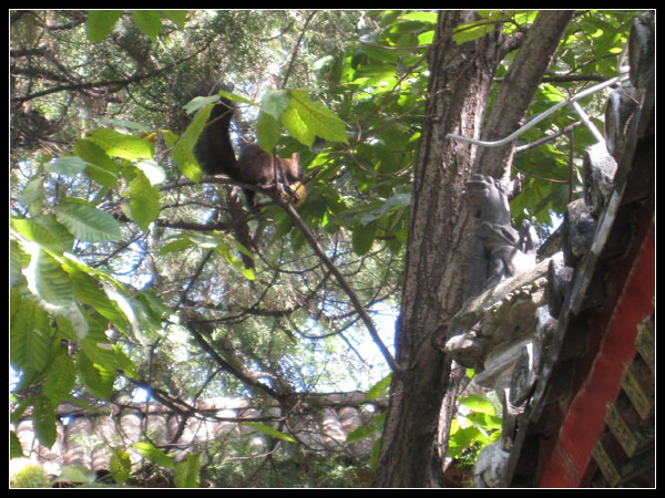 八大处小记-优捷信达