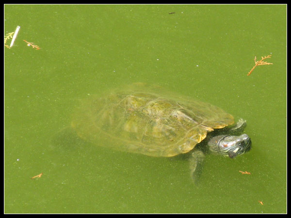 八大处-优捷信达