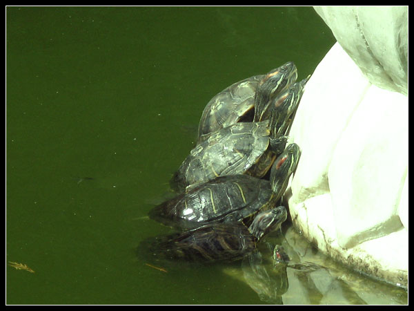 八大处-优捷信达